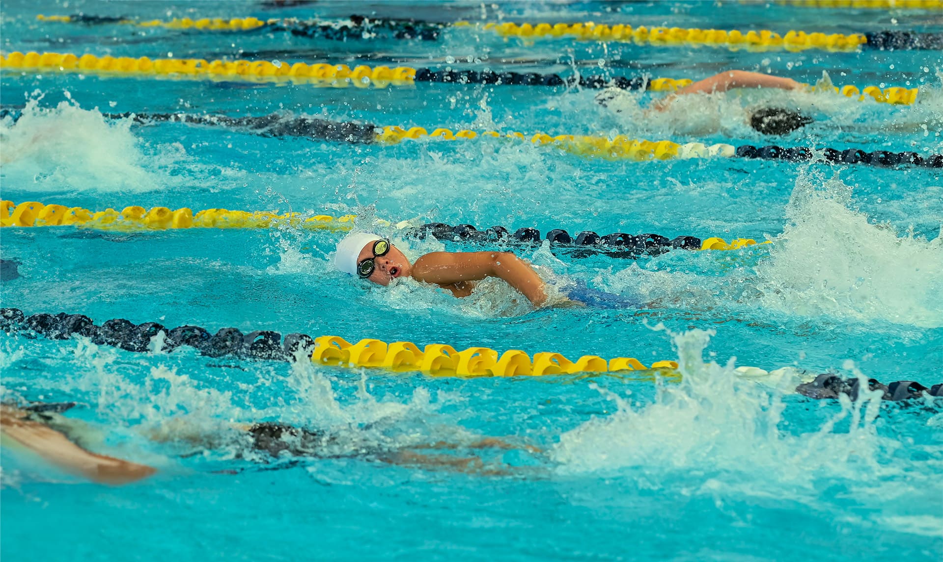 Erwachsener Schwimmer